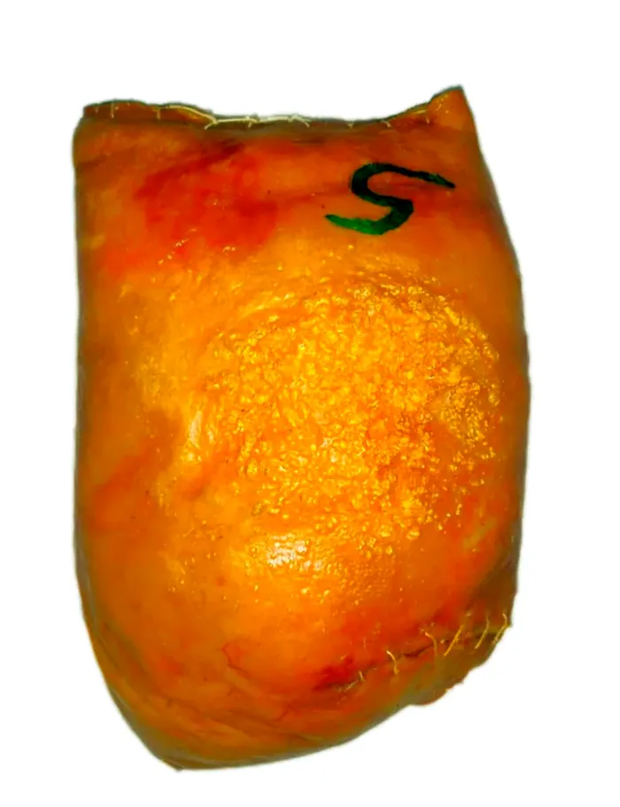 Cojín Tradicional de lechona Donde Tatiko para 20 a 40 porciones